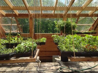 Hanging Plants In Underground Greenhouse
